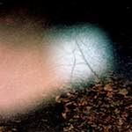 Image: Second image from the photoset 'auto (v)'.