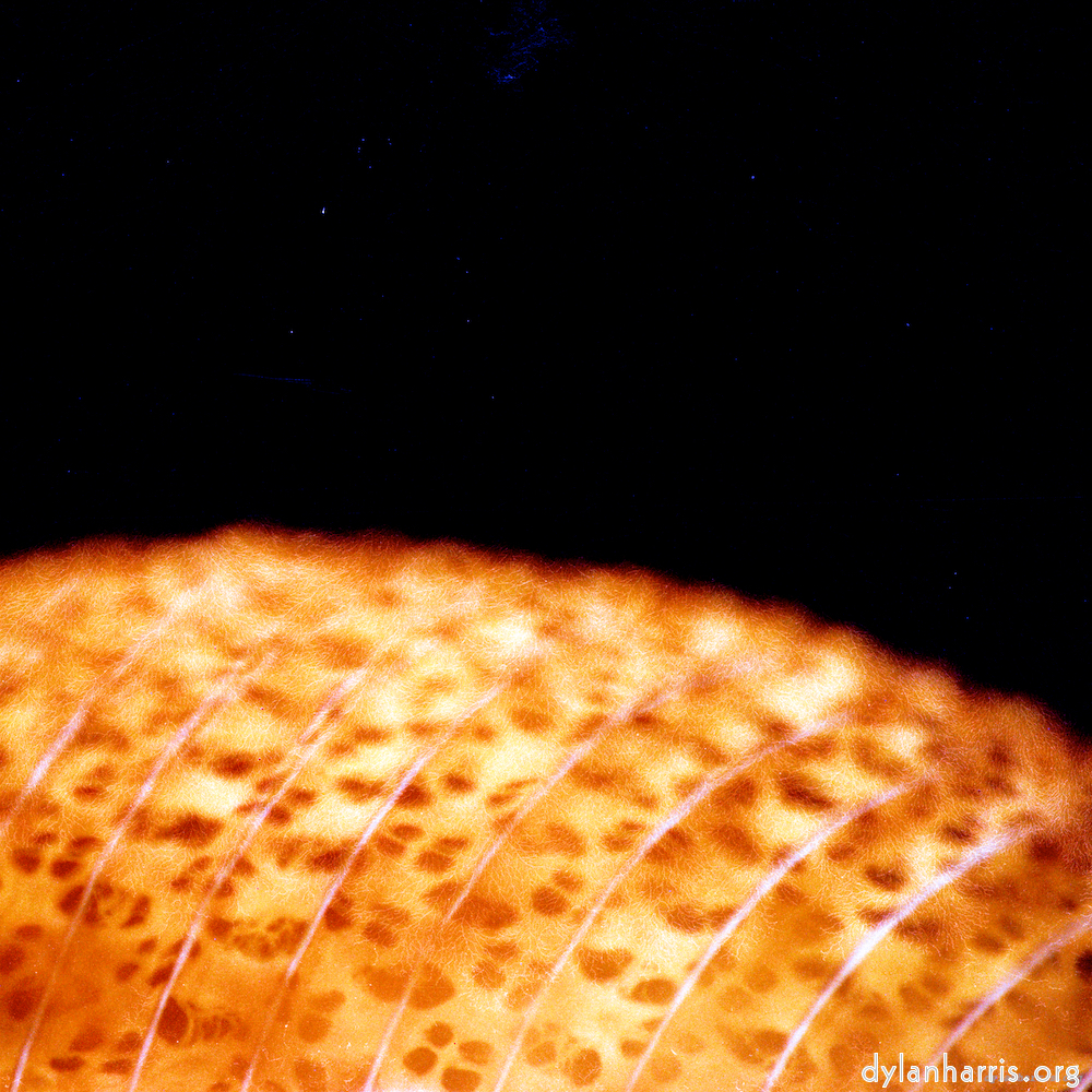 image: This is ‘
abstract (x) 4
’.