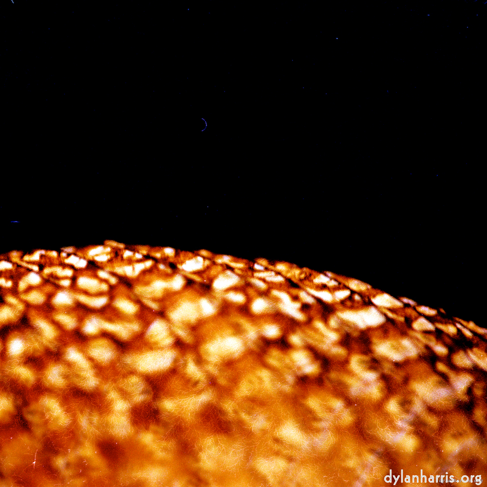 image: This is ‘
abstract (x) 5
’.