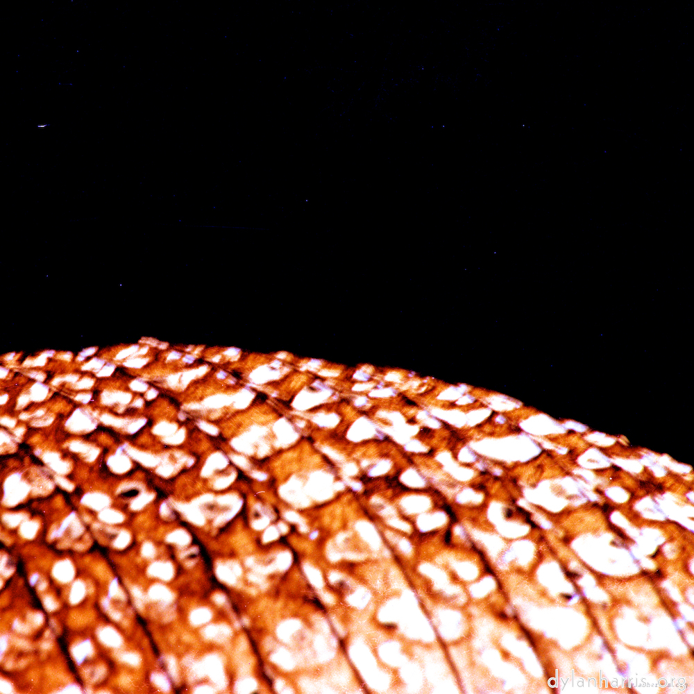 image: This is ‘
abstract (x) 6
’.