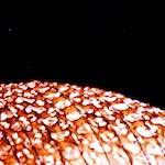 image: Image from the photoset ‘
abstract (x)
’.