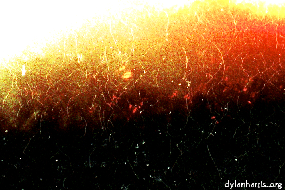 Image 'fire (xiii) 3'.