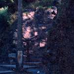 Image: Seventh image from the photoset 'edinburgh (vii)'.