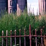 Third image from the photoset 'edinburgh (viii)'.