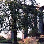 Seventh image from the photoset 'edinburgh (viii)'.