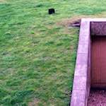 Image: First image from the photoset 'edinburgh (ix)'.