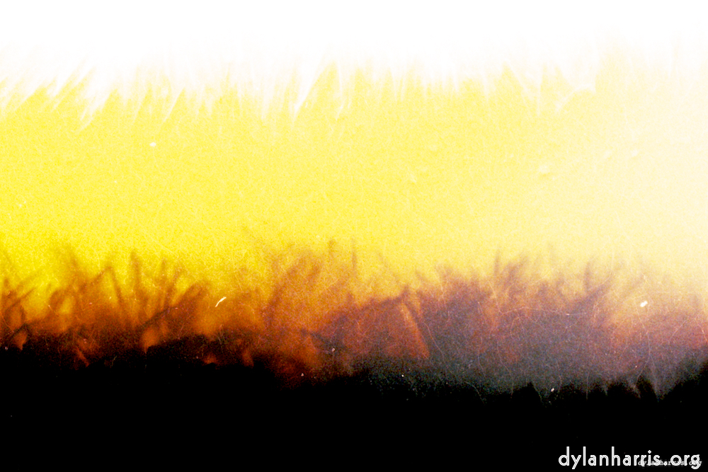 Image: Image 'fire (xxvii) 3'.