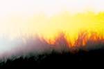 Image: First image from the photoset 'fire (xxvii)'.