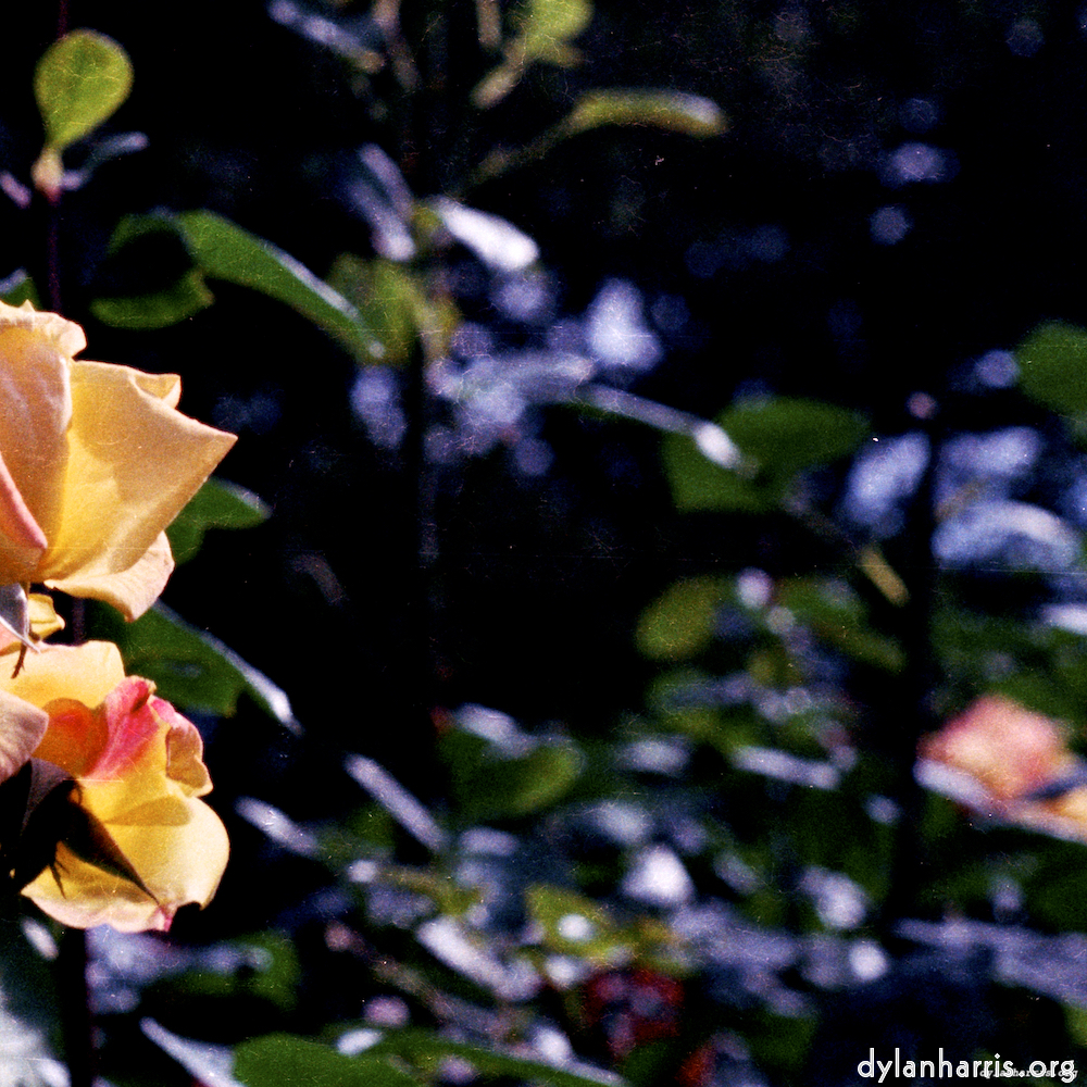 Image: Image 'edinburgh (x) 1'.