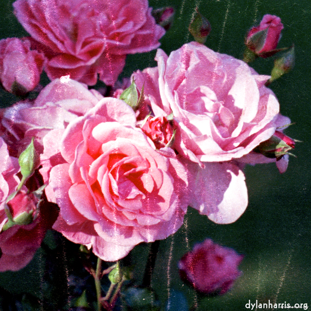 Image: Image 'edinburgh (x) 2'.