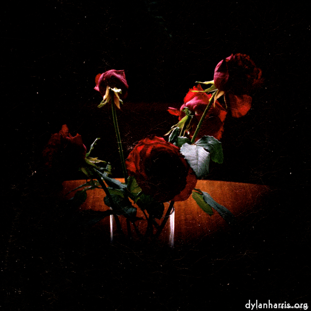 Image: Image 'edinburgh (x) 3'.