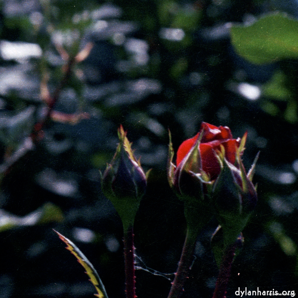 Image 'edinburgh (x) 5'.