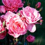 Second image from the photoset 'edinburgh (x)'.