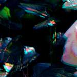 Sixth image from the photoset 'edinburgh (x)'.