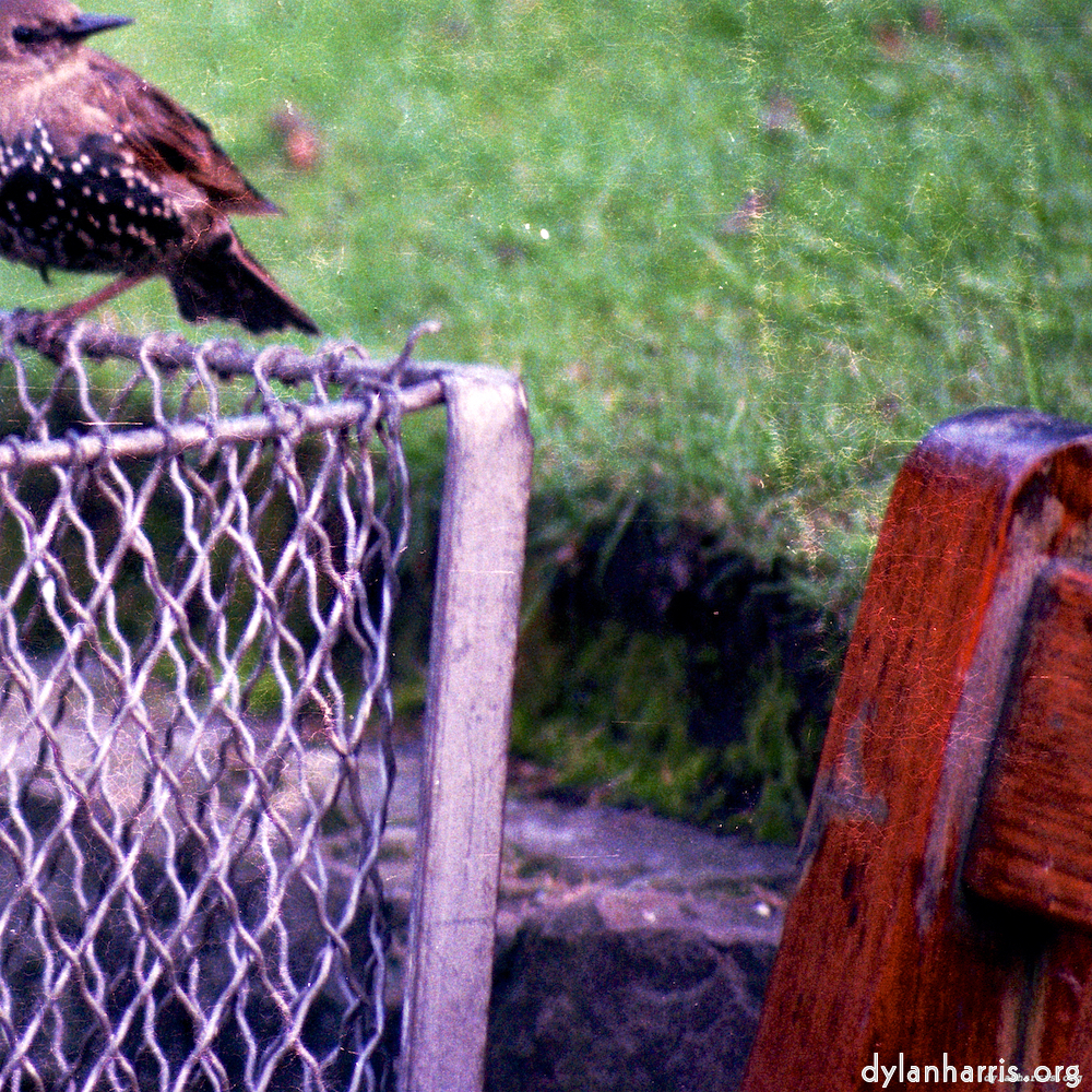 Image: Image 'edinburgh (xi) 2'.