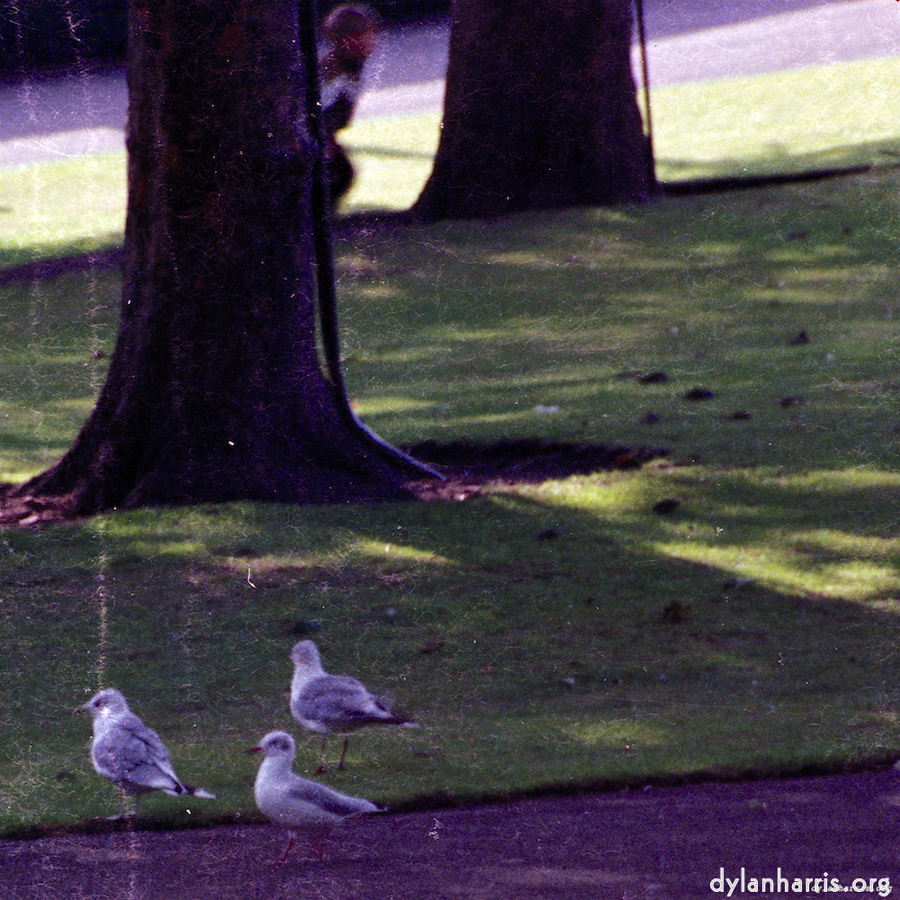 Image 'edinburgh (xi) 8'.