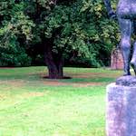 Image: Second image from the photoset 'sculpture (i)'.