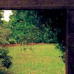 Image: Sixth image from the photoset 'sculpture (i)'.