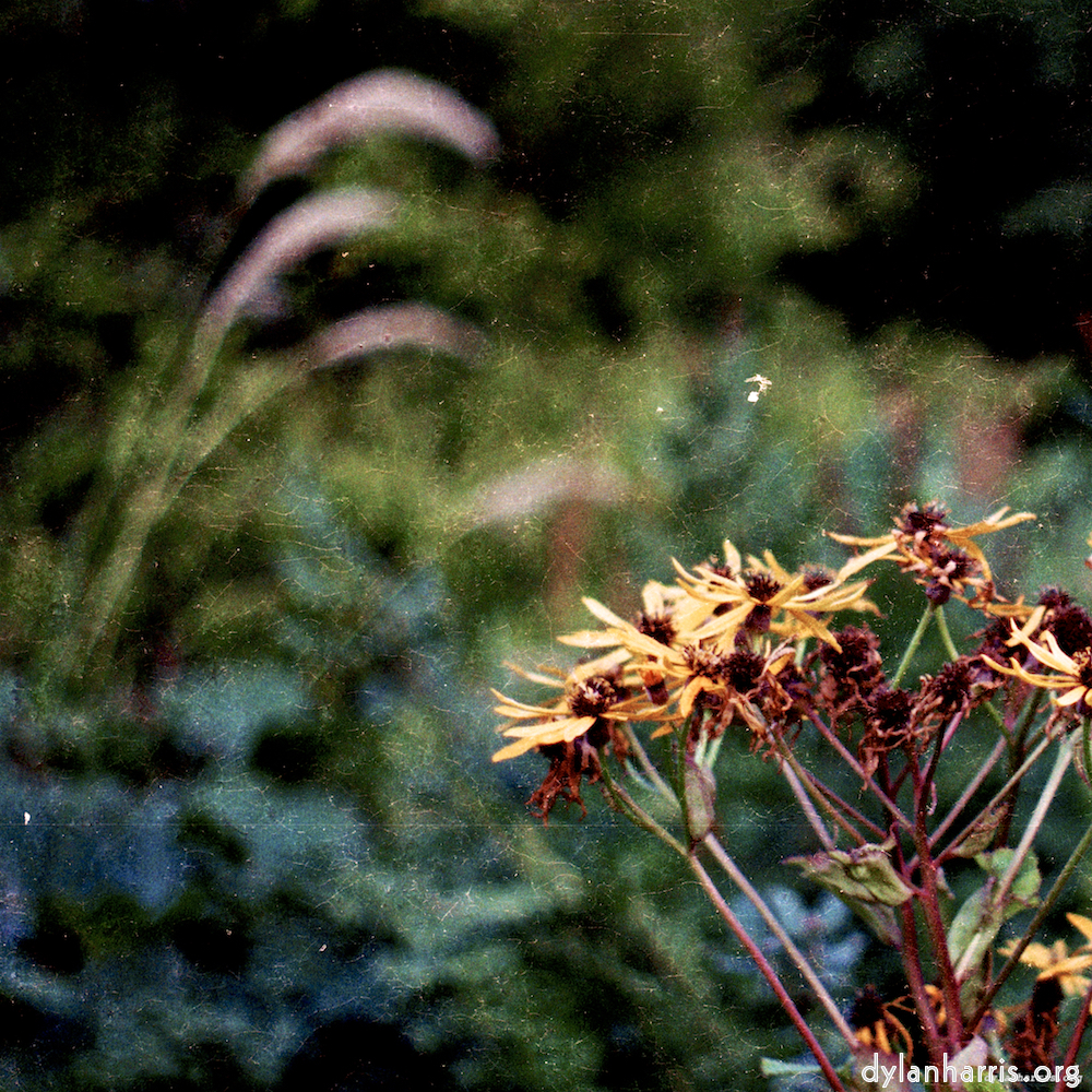 image: This is ‘
untitled (xxx) 2
’.