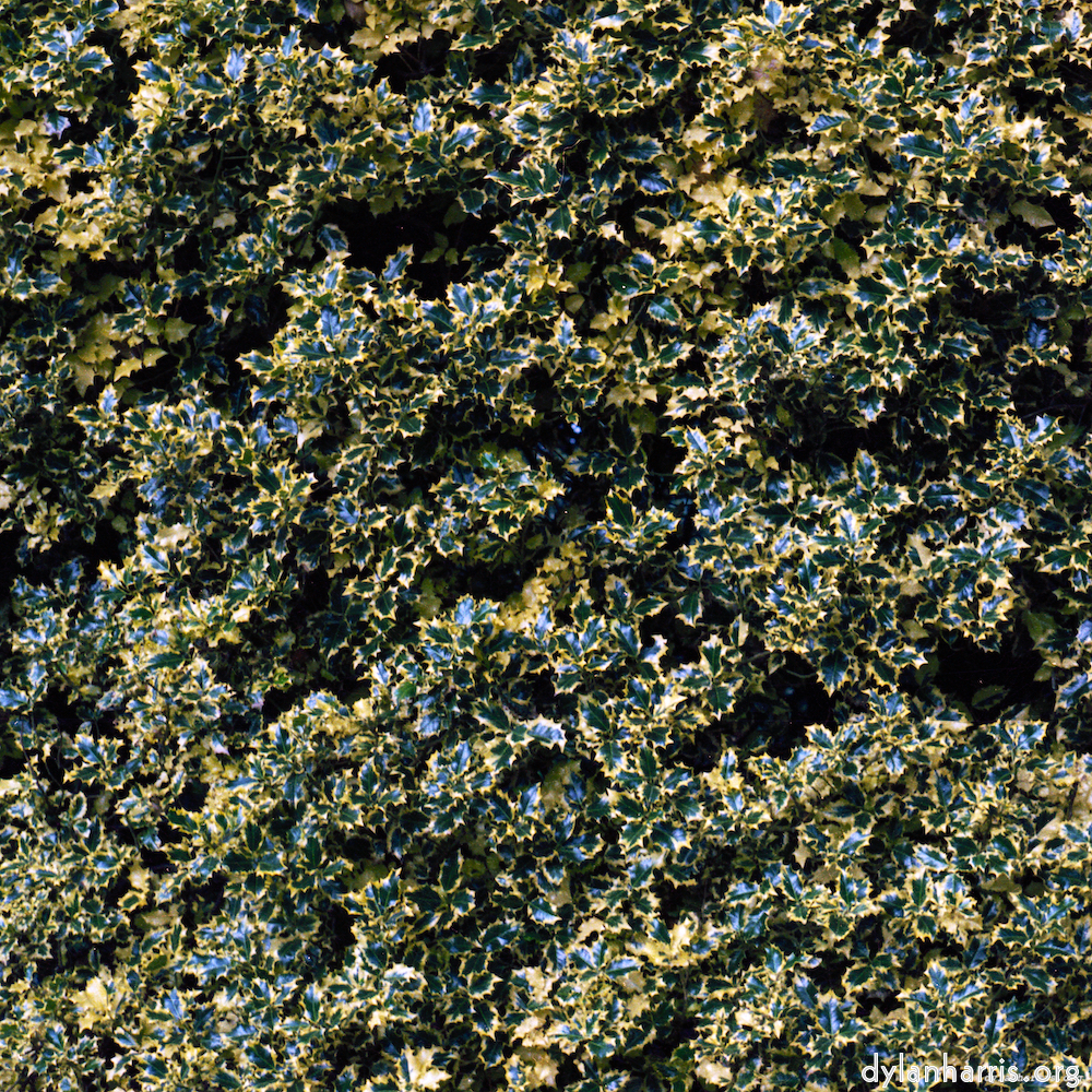 Image 'untitled (xxx) 4'.