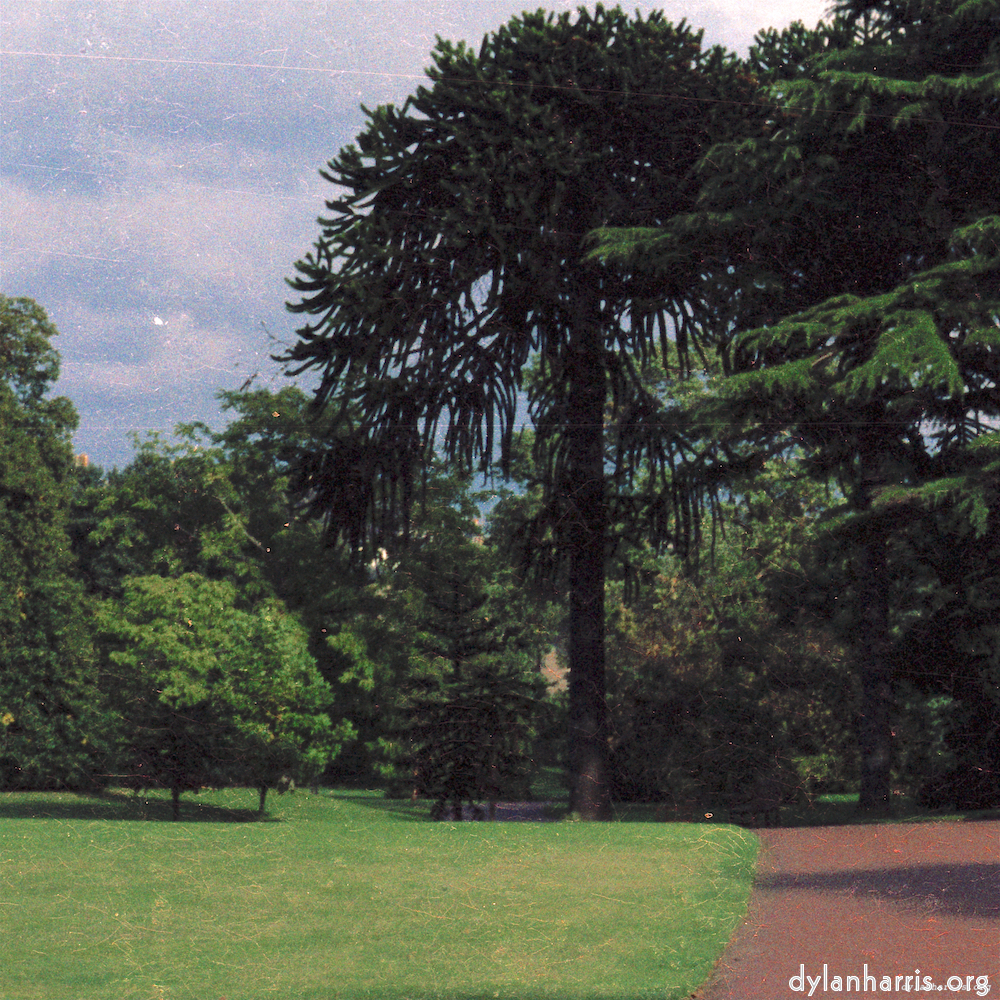 image: This is ‘
untitled (xxx) 5
’.