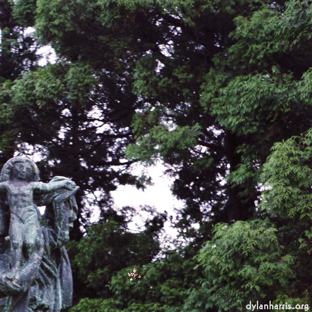 Image 'untitled (xxx) 6'.