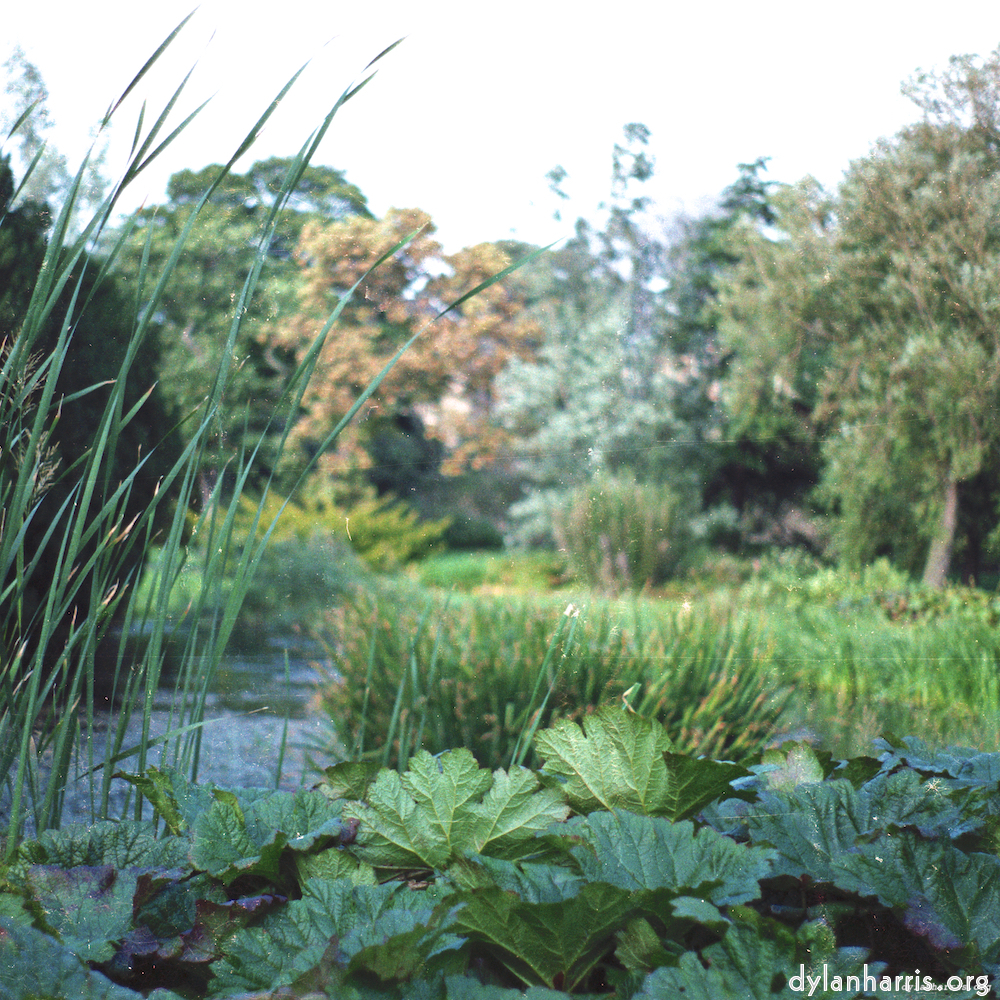 Image 'untitled (xxx) 7'.