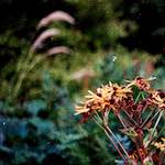 image: Image from the photoset ‘
untitled (xxx)
’.