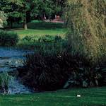 image: Image from the photoset ‘
untitled (xxx)
’.