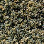 image: Image from the photoset ‘
untitled (xxx)
’.