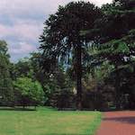 image: Image from the photoset ‘
untitled (xxx)
’.