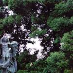 image: Image from the photoset ‘
untitled (xxx)
’.