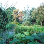 image: Image from the photoset ‘
untitled (xxx)
’.