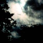 image: Image from the photoset ‘
untitled (xxx)
’.