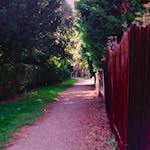 Second image from the photoset 'raunds (ii)'.