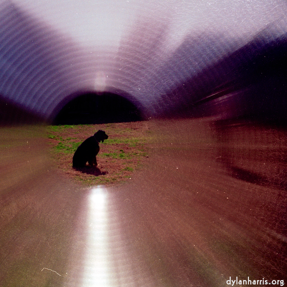 Image 'family (xiii) 2'.