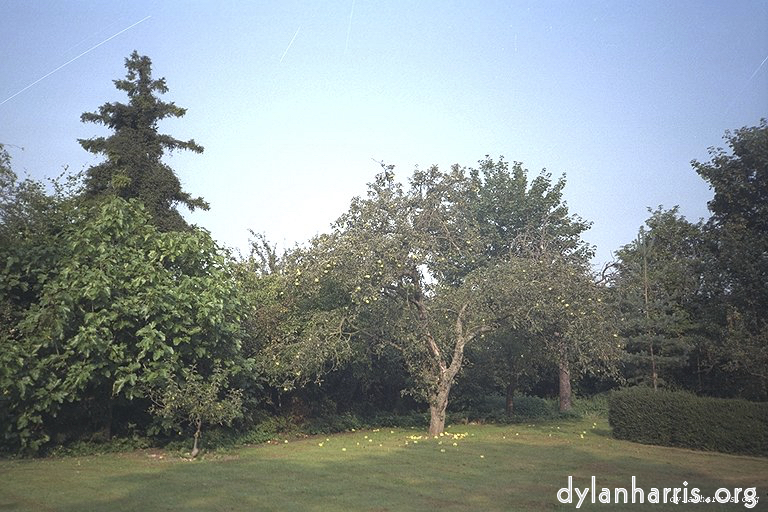 Image: Image 'ramsey 2'.