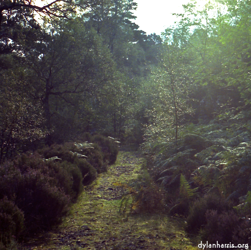 image: This is ‘
revisited (i) 8
’.