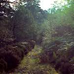 image: Image from the photoset ‘
revisited (i)
’.