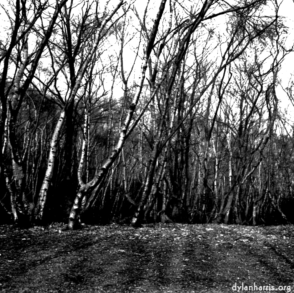 image: This is ‘
revisited (ii) 3
’.