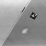 image: Image from the photoset ‘
revisited (ii)
’.