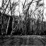 image: Image from the photoset ‘
revisited (ii)
’.