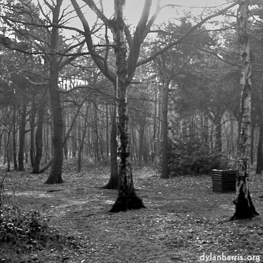 image: This is ‘
revisited (iii) 1
’.