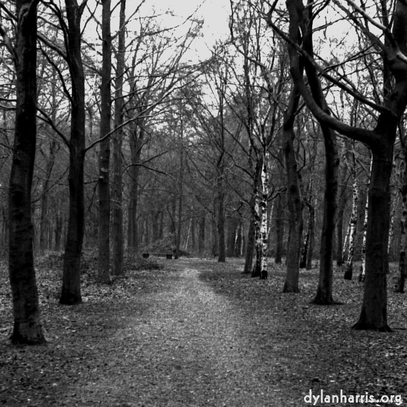 image: This is ‘
revisited (iii) 10
’.