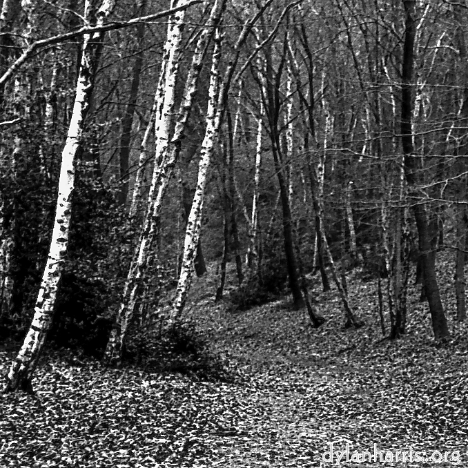 image: This is ‘
revisited (iii) 12
’.