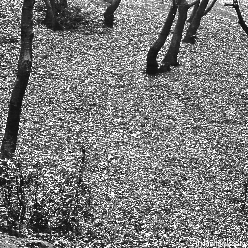 image: This is ‘
revisited (iii) 6
’.