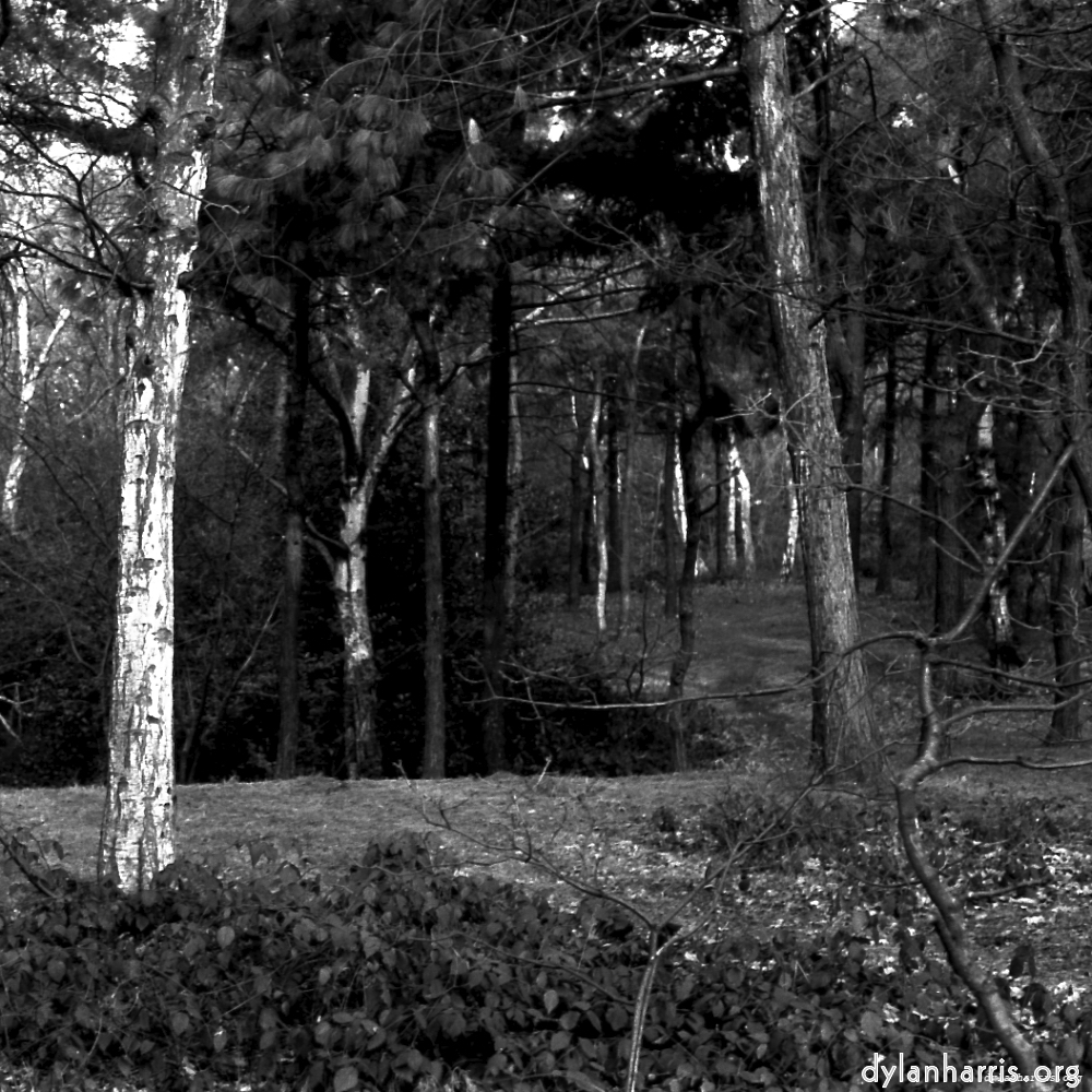 image: This is ‘
revisited (iii) 7
’.