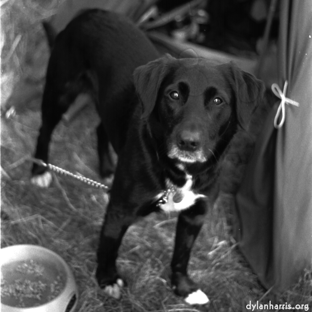 image: This is ‘
revisited (iii) 8
’.