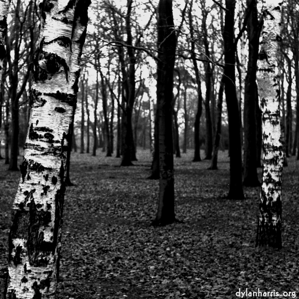 image: This is ‘
revisited (iii) 9
’.