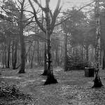 image: Image from the photoset ‘
revisited (iii)
’.